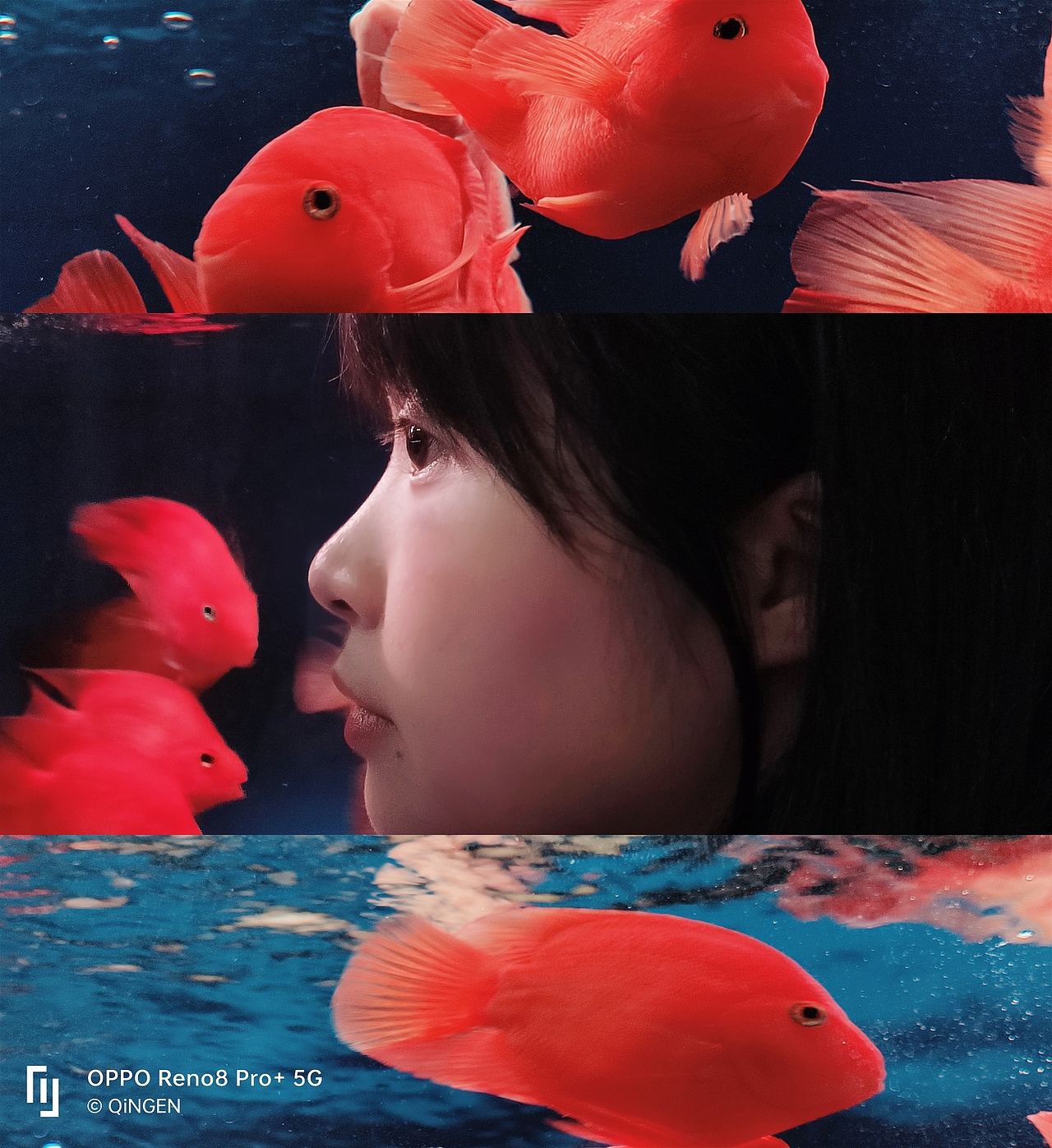 OPPO Reno8 Pro+ 逍遥青 图赏 & 样张