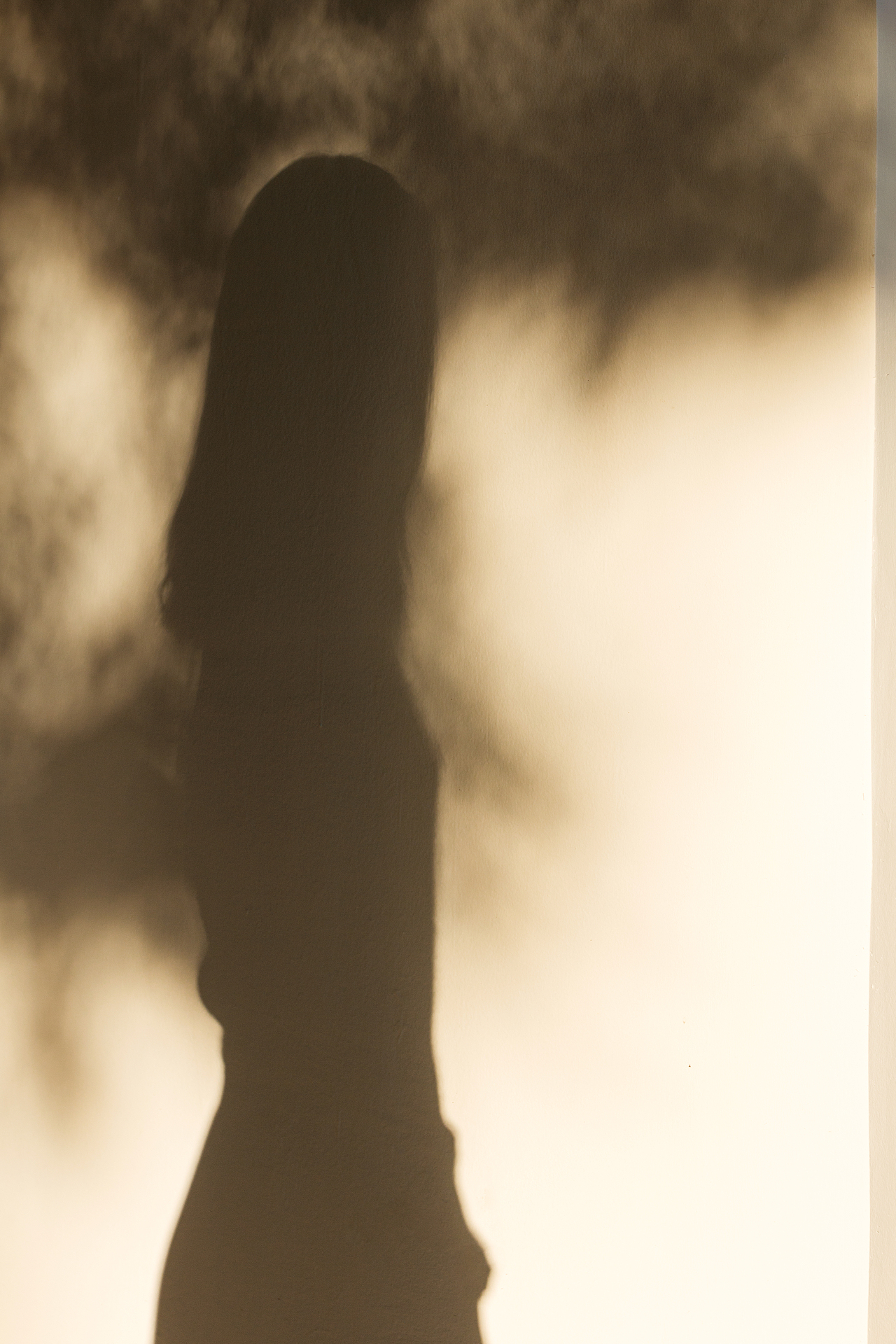 日落草坪（图ZMzAzMzMxMjU2） - 人像摄影 - 站酷设计师甜甜砒霜逃犯原创素材 - 站酷ZCOOL