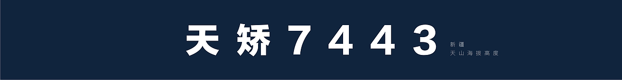 新疆赛里木王 I 白酒包装设计