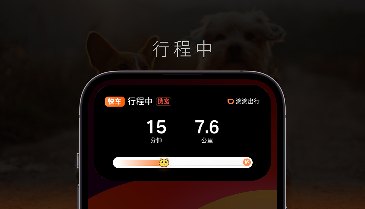 滴滴携宠出行｜司乘双向筛选服务动线设计（图ZMzYzMDY4MjQ0） - 交互/UE - 站酷设计师xxxxp原创素材 - 站酷ZCOOL