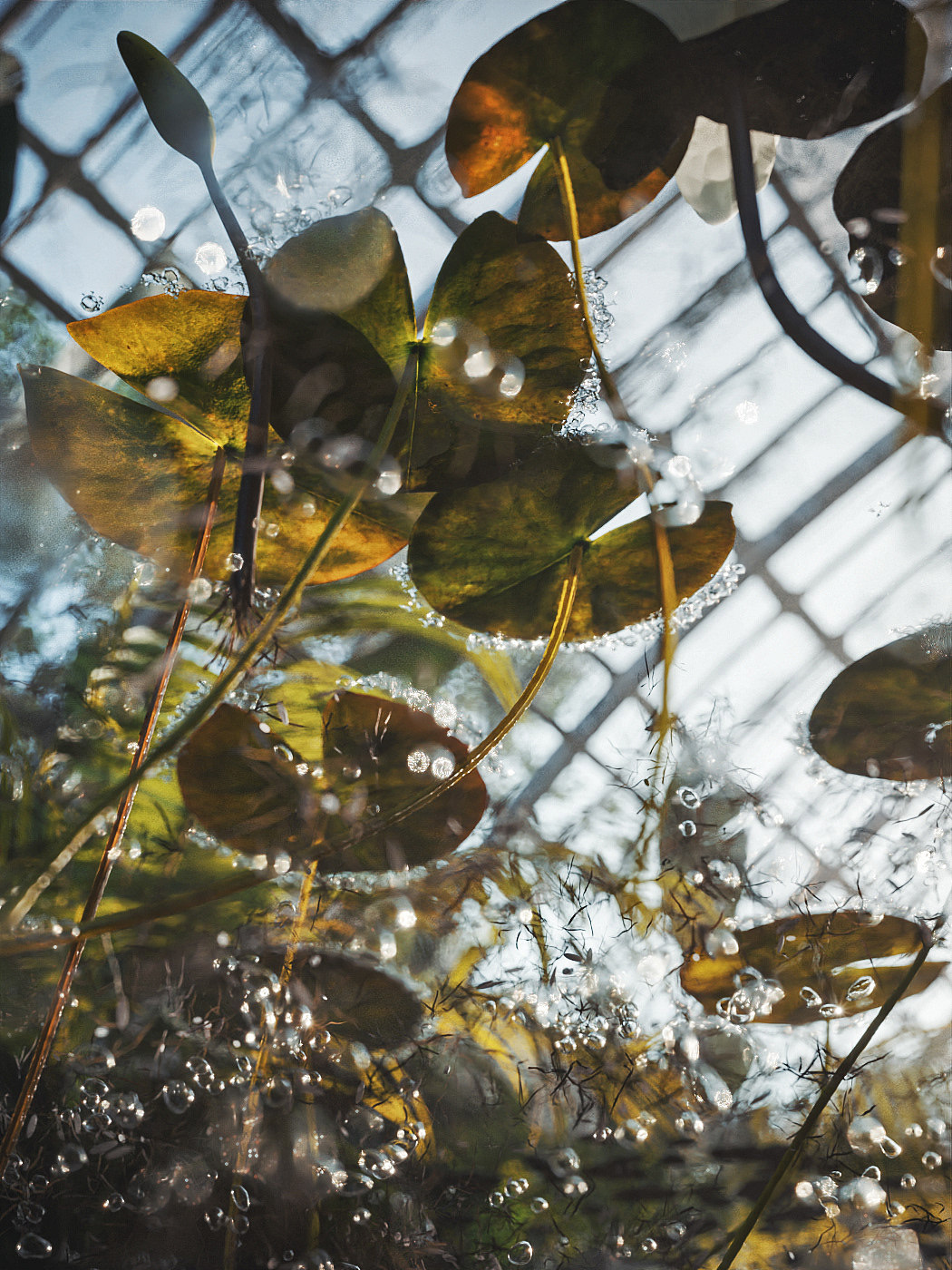 【虚幻5】风格化渲染（图ZMzM4NTcyOTE2） - 场景 - 站酷设计师人可_CKY原创素材 - 站酷ZCOOL