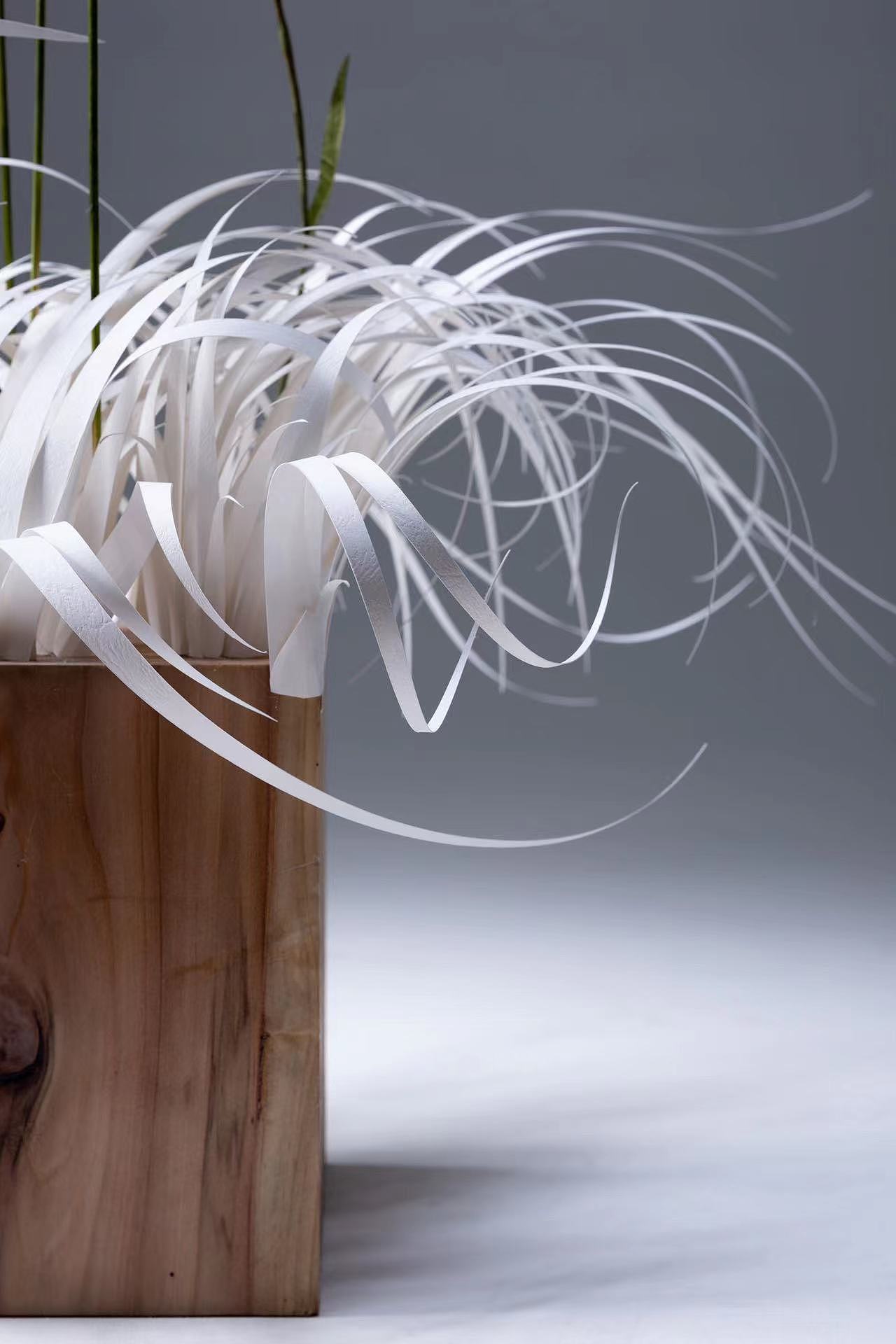 纸艺作品-等风来