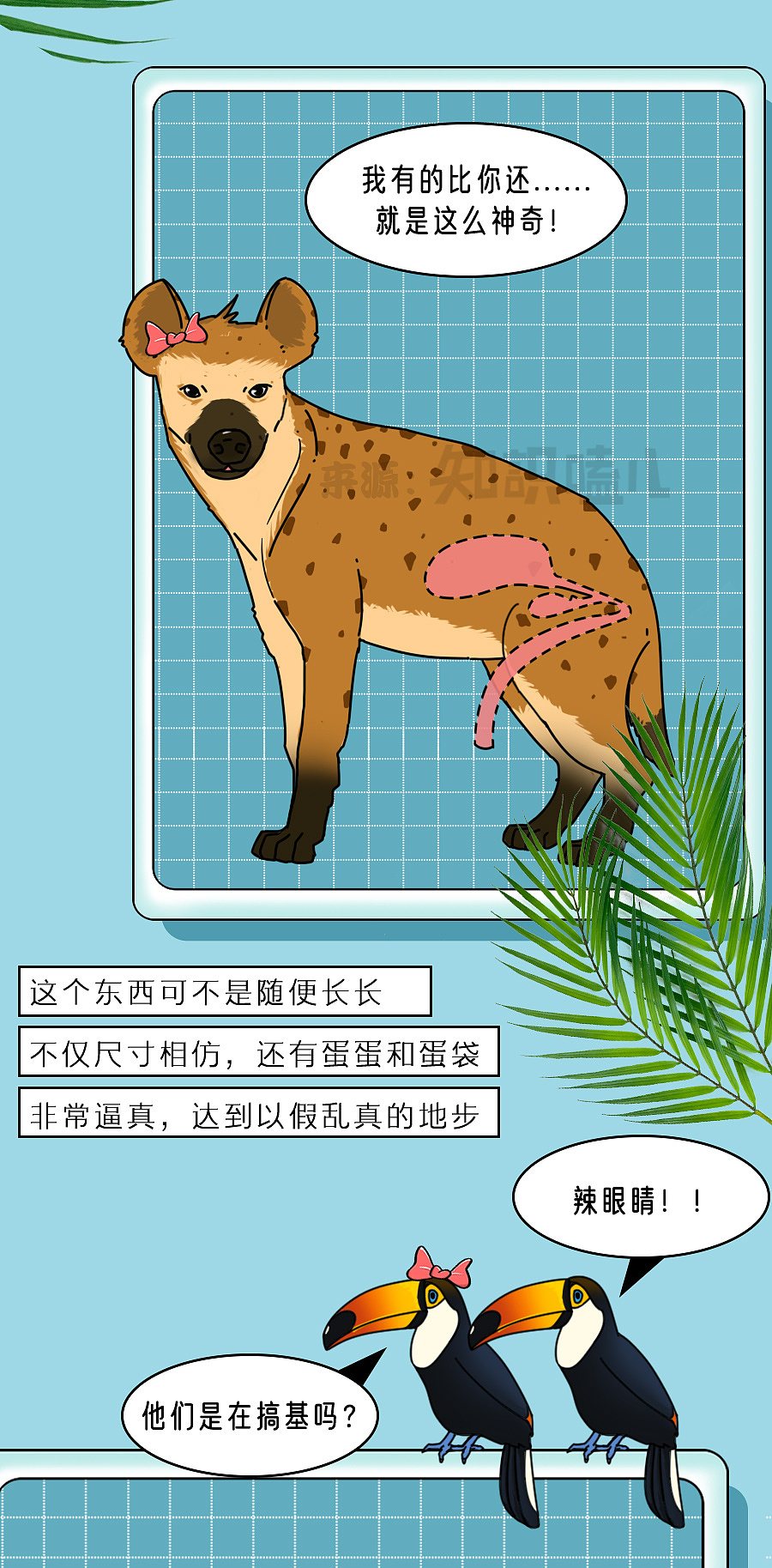 少女扶她?男装大佬?动物界真会玩…