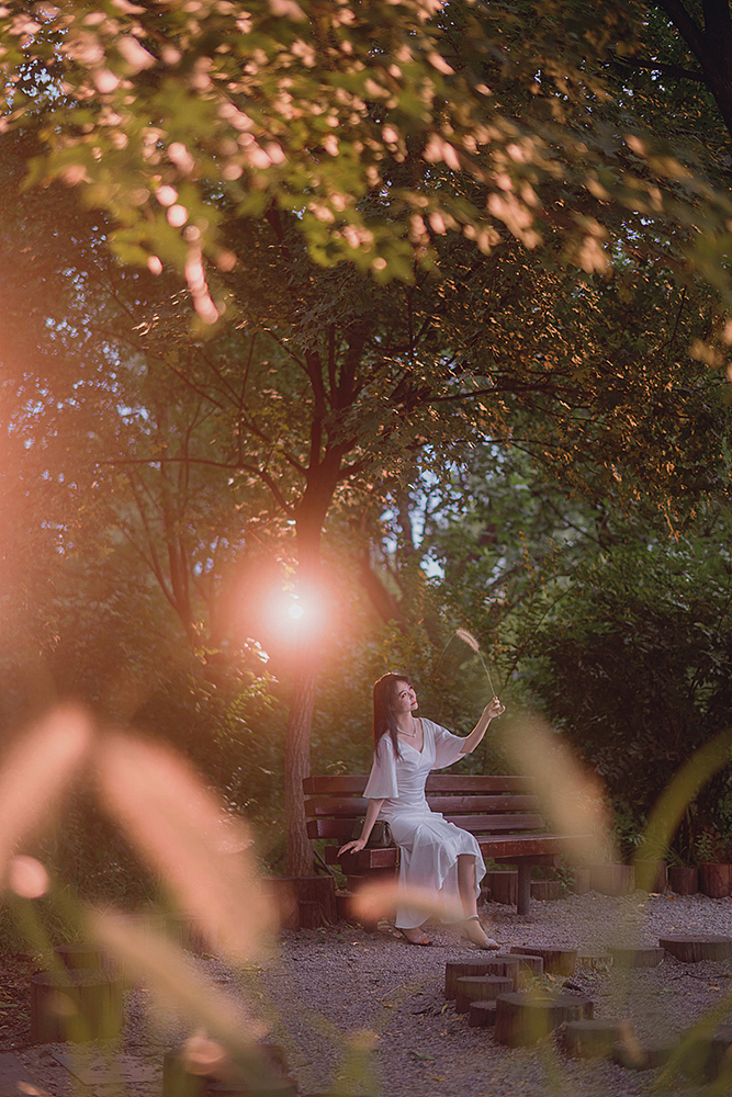 爱丽丝梦游仙境