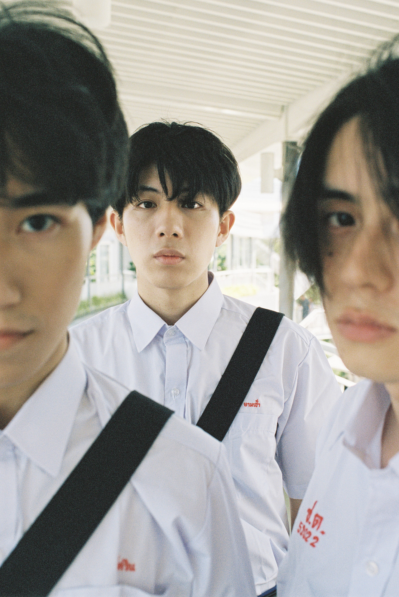 群像作品合集 / 毕业快乐