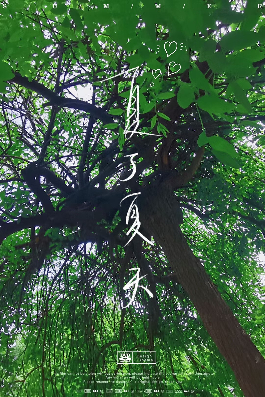 日常拍照-用的醒图滤镜（图ZMzAxOTg0MjI0） - 风光摄影 - 站酷设计师三何设计原创素材 - 站酷ZCOOL