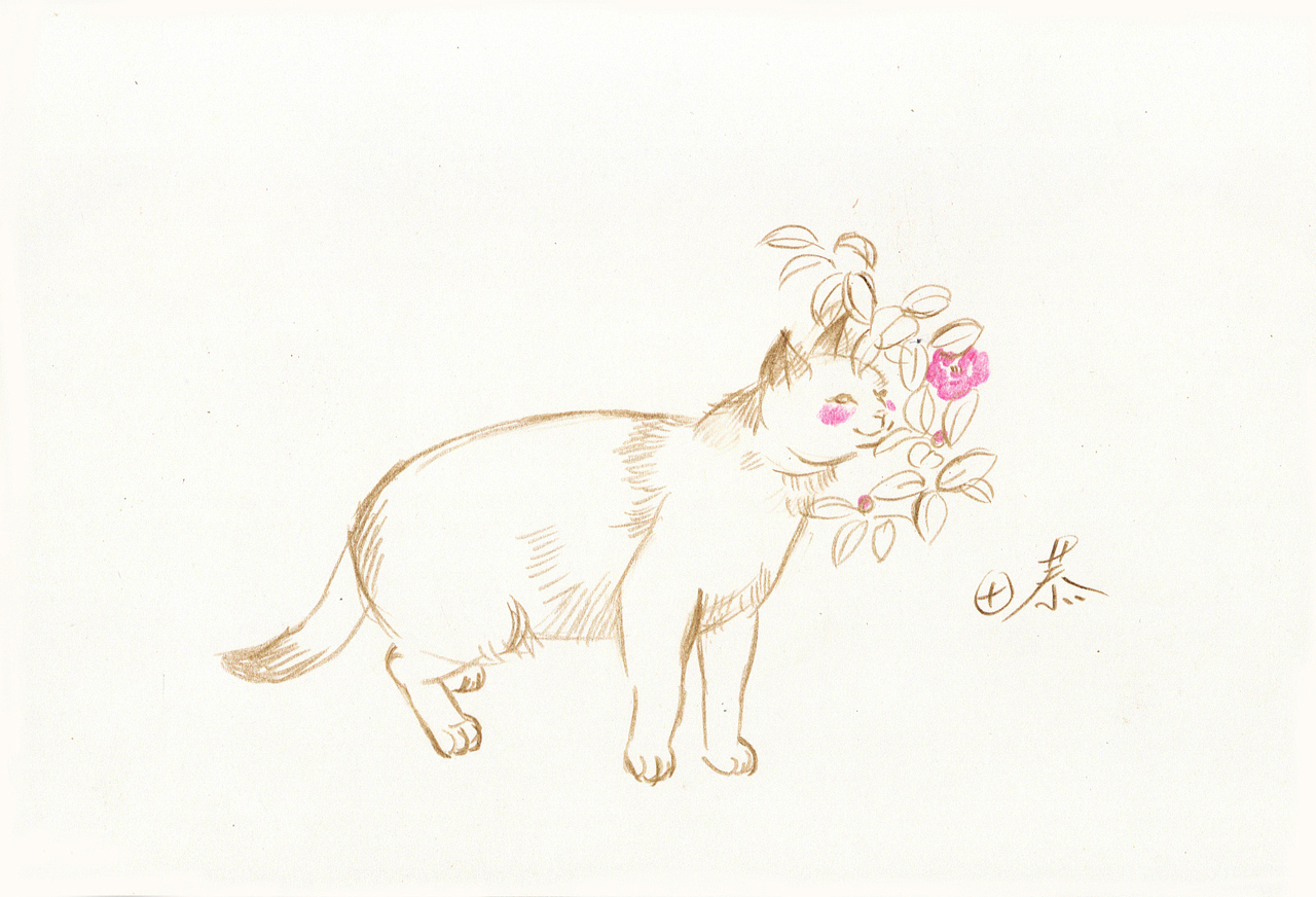 绘本《致我们亲爱的故乡》二印的签绘明信片