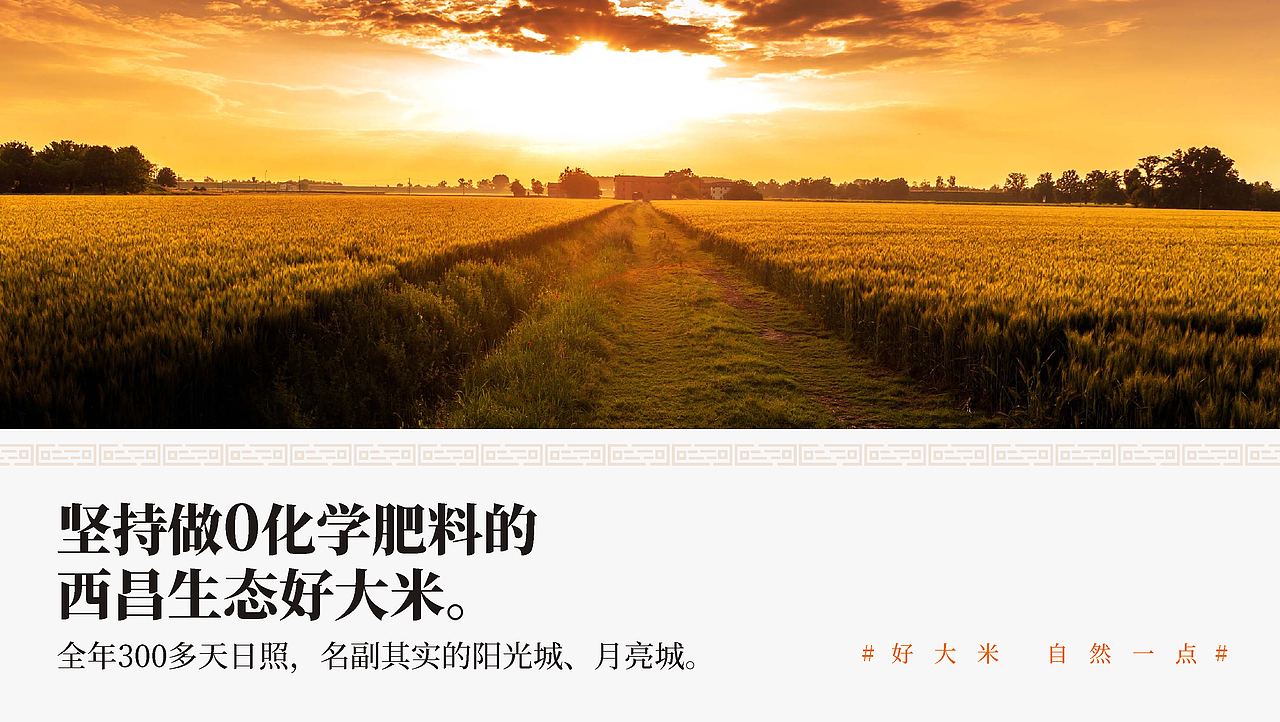 安宁河谷1500米×此山｜与西昌政府合作的大米品牌全案（图ZMzQxMjg3MjUy） - 品牌 - 站酷设计师此山品牌设计原创素材 - 站酷ZCOOL