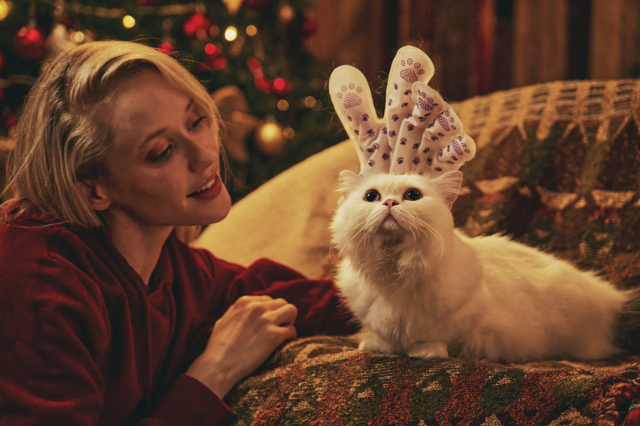 商业拍摄-宠物护理产品圣诞节主题拍摄