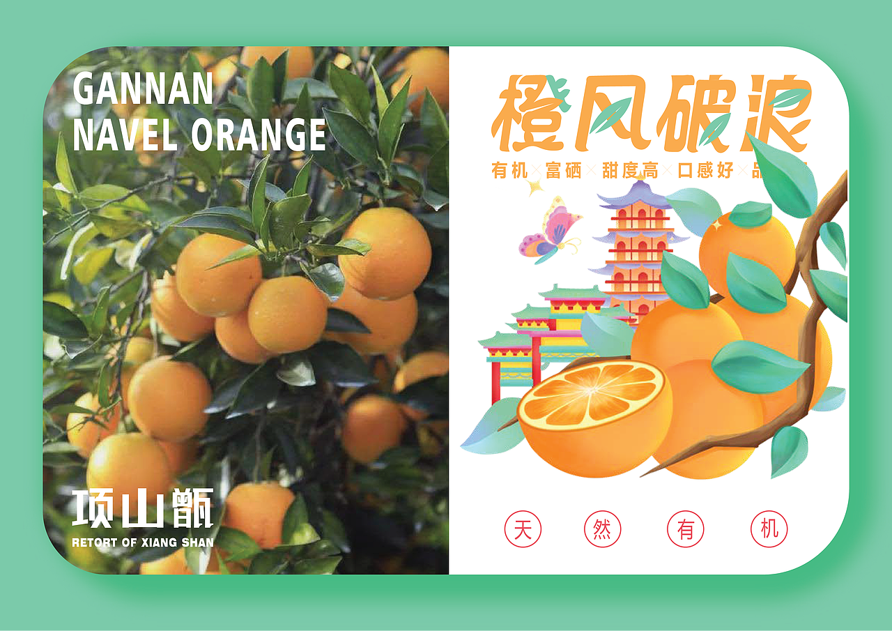 橙风破浪---2024赣南脐橙品牌包装设计作品展示
