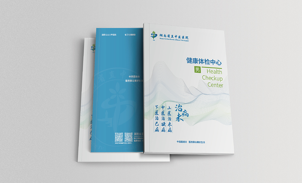 医院vi设计公司案例〖梅奥艺术〗