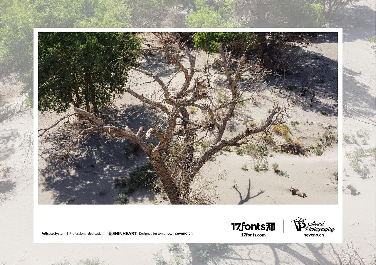 上海因心一祁造字最美中国航拍作品之大美新疆(五)