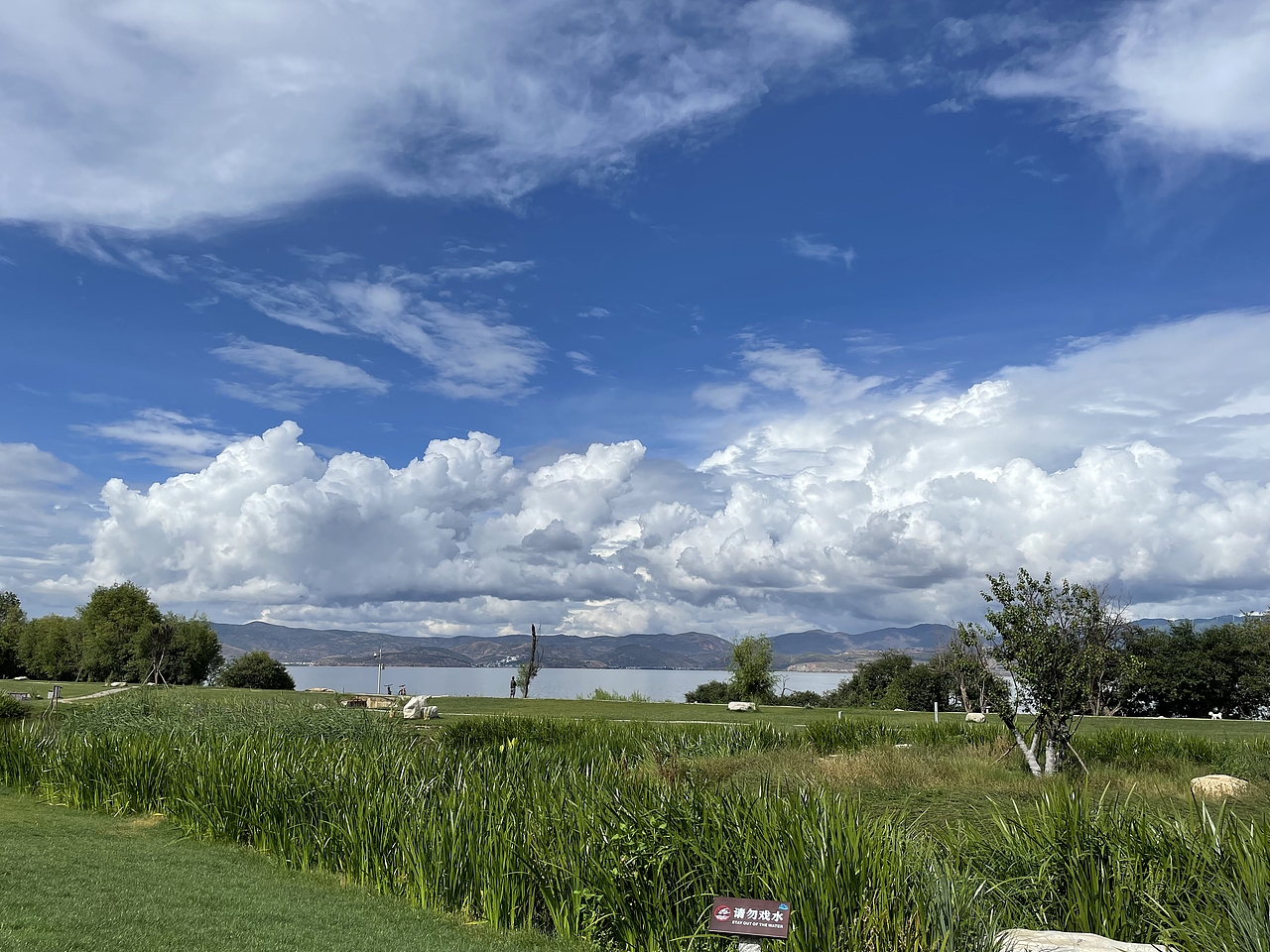 漫畫(huà)里的夏天（圖ZMzA4MDU3NjY0） - 風(fēng)光攝影 - 站酷設(shè)計(jì)師阿琳小仙女原創(chuàng)素材 - 站酷ZCOOL