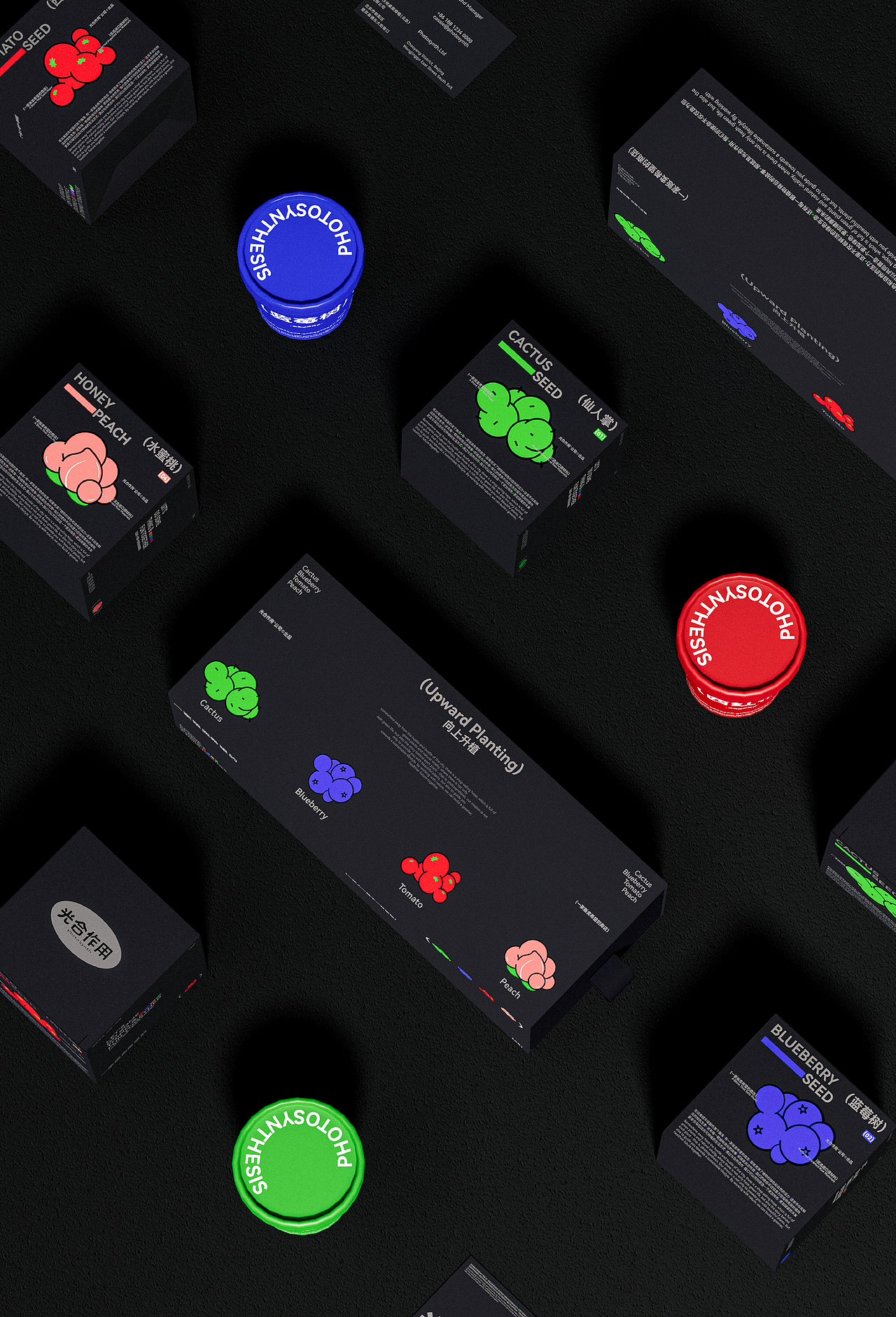 光合作用 | 桌面绿植包装 | 一家贩卖希望的商店