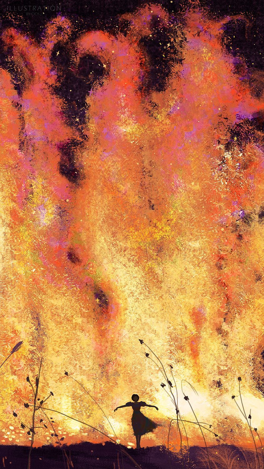 斑斓火海
重生了