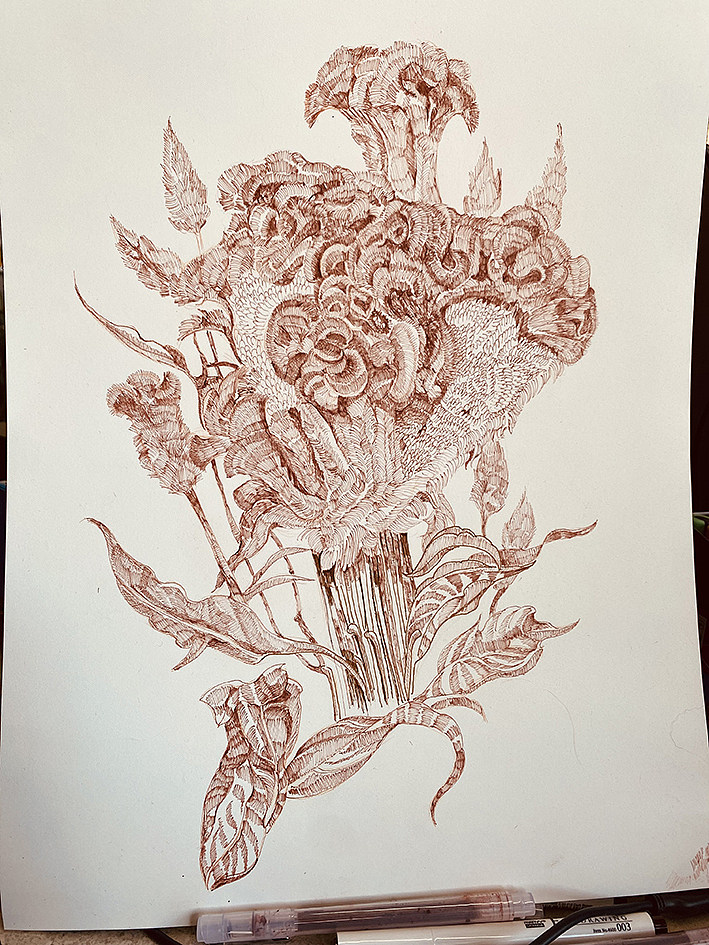 我的大花园(手绘花卉与热植包装)(图ZMzMzOTE2NTQ0) - 商业插画 - 站酷设计师寒江雪的插画原创素材 - 站酷ZCOOL