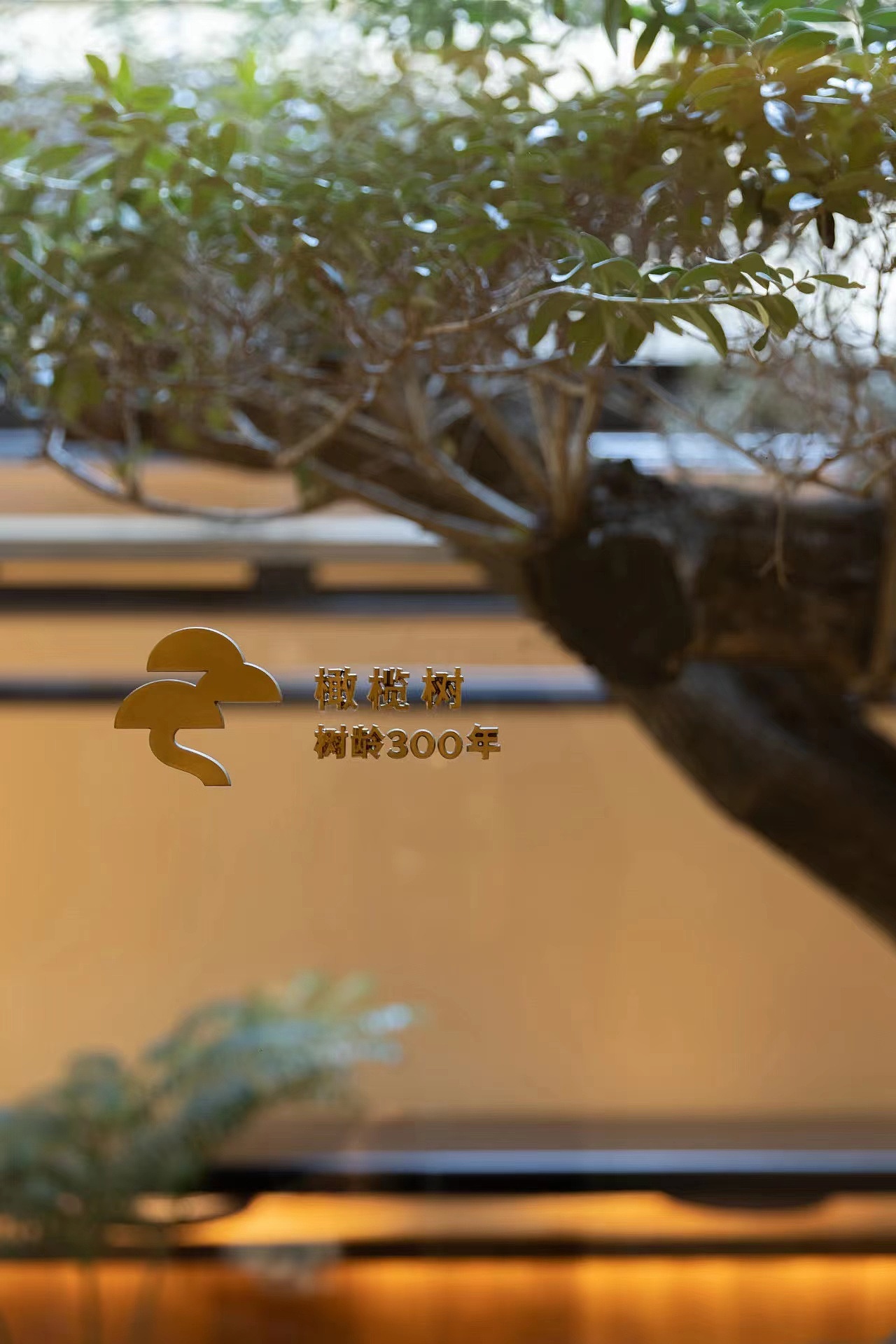 南方雪工作室新案|翼会席 TSUBASA