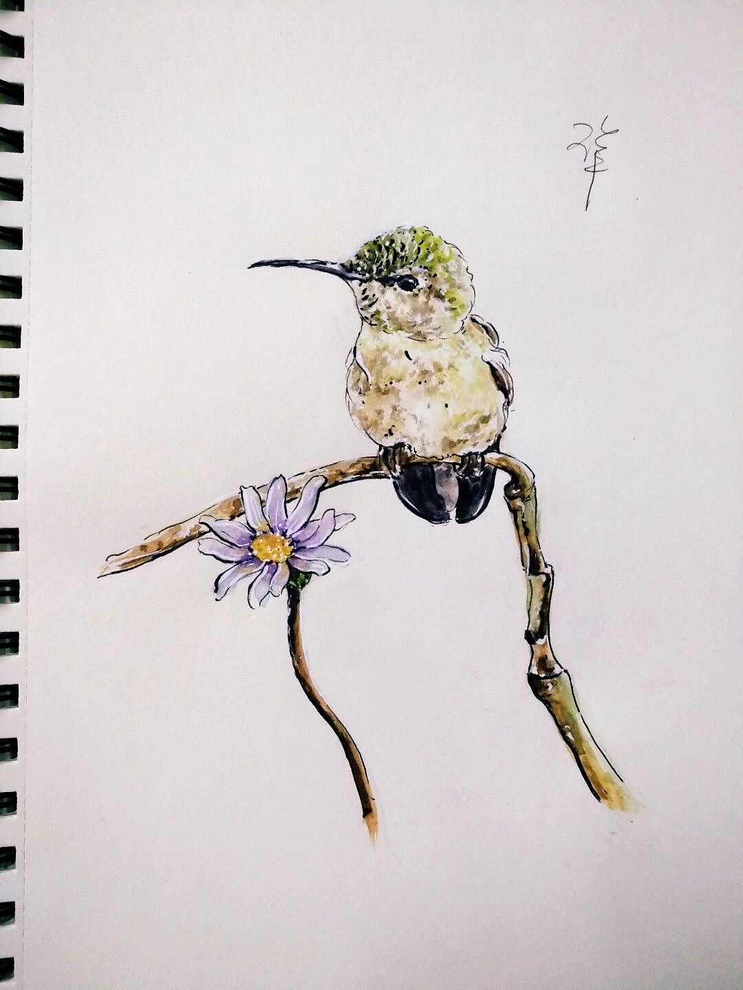 缤纷的动物世界2