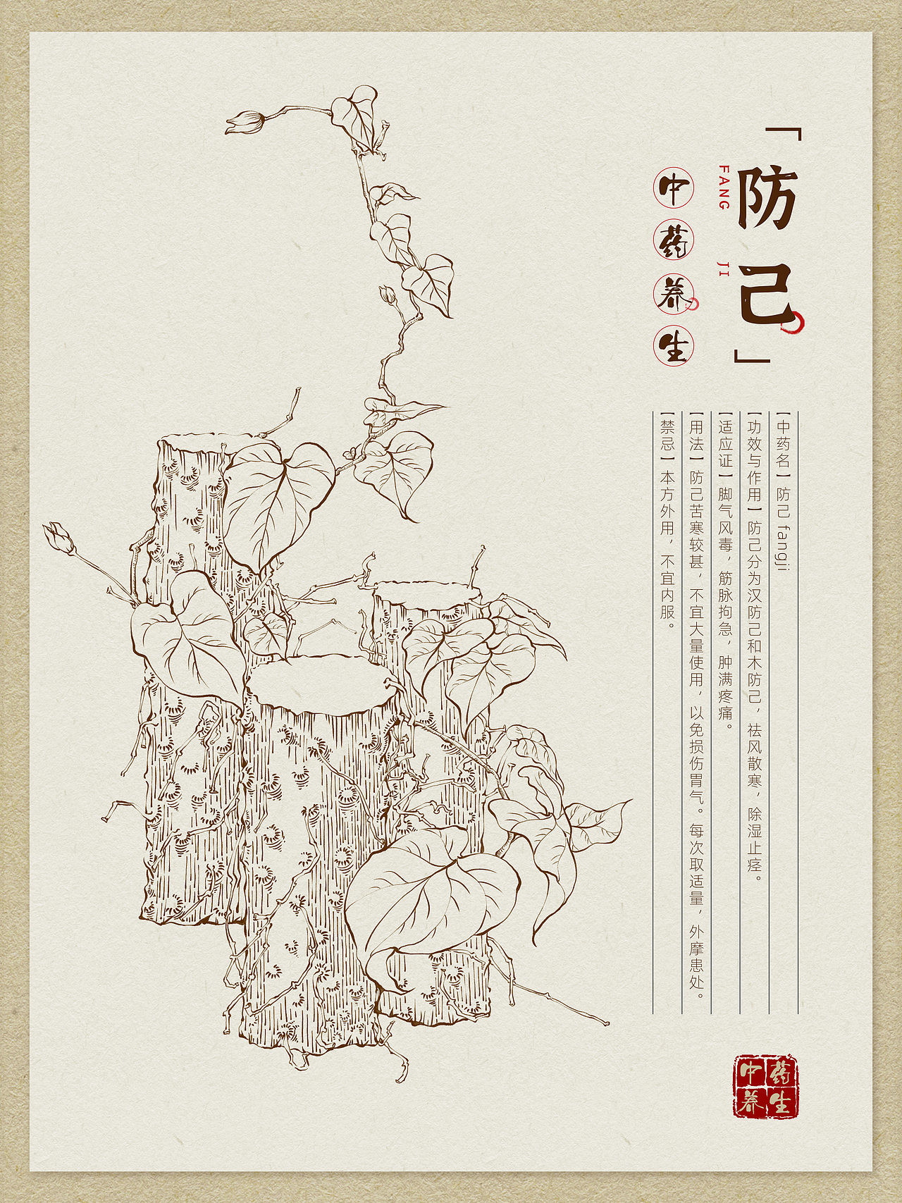 本草纲目中草药手绘插画-车前草(附绘画线稿过程图)472c4d产品渲染-fl