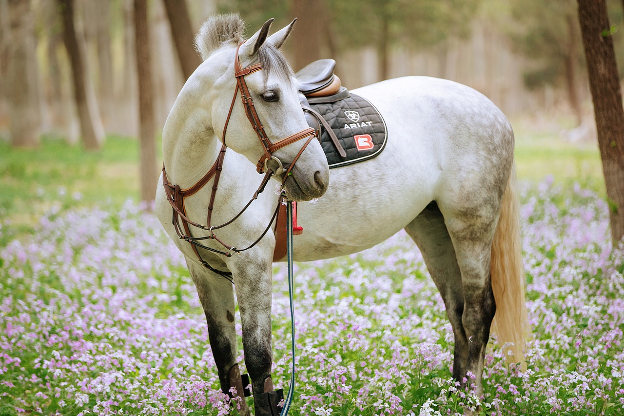 美的像电影画面⛰浪漫纪实电影风森系婚纱照（图ZMzU4MTAwNzg0） - 婚礼摄影 - 站酷设计师遇见YUJIAN原创素材 - 站酷ZCOOL