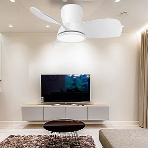 亚马逊精品套图1