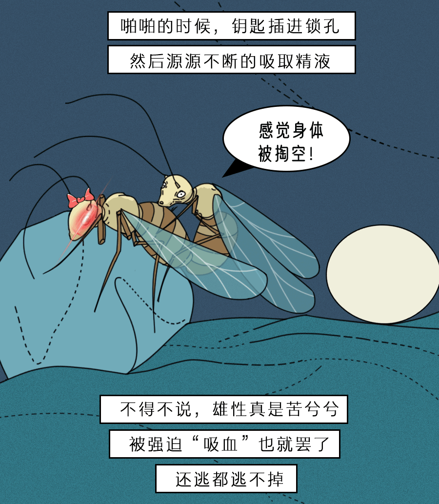 少女扶她？男装大佬？动物界真会玩…