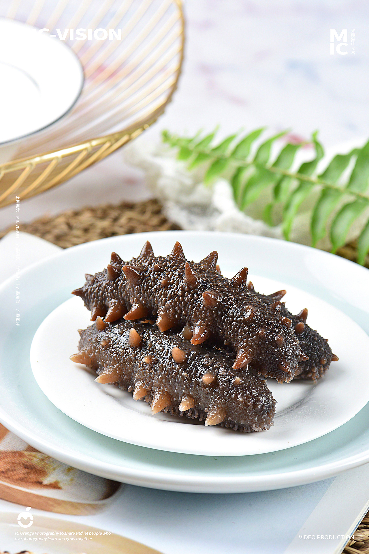 食品类｜海参拍摄