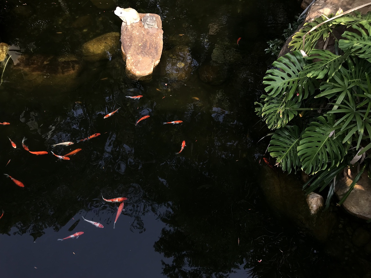 空山无人水流花开