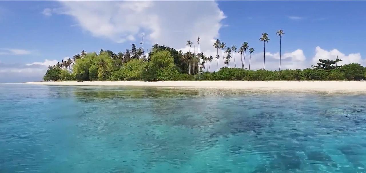 视频（图ZMzExNTkzODQ4） - 宣传片 - 站酷设计师小小呼怪兽原创素材 - 站酷ZCOOL