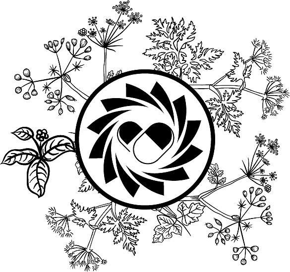 一组线稿插画图