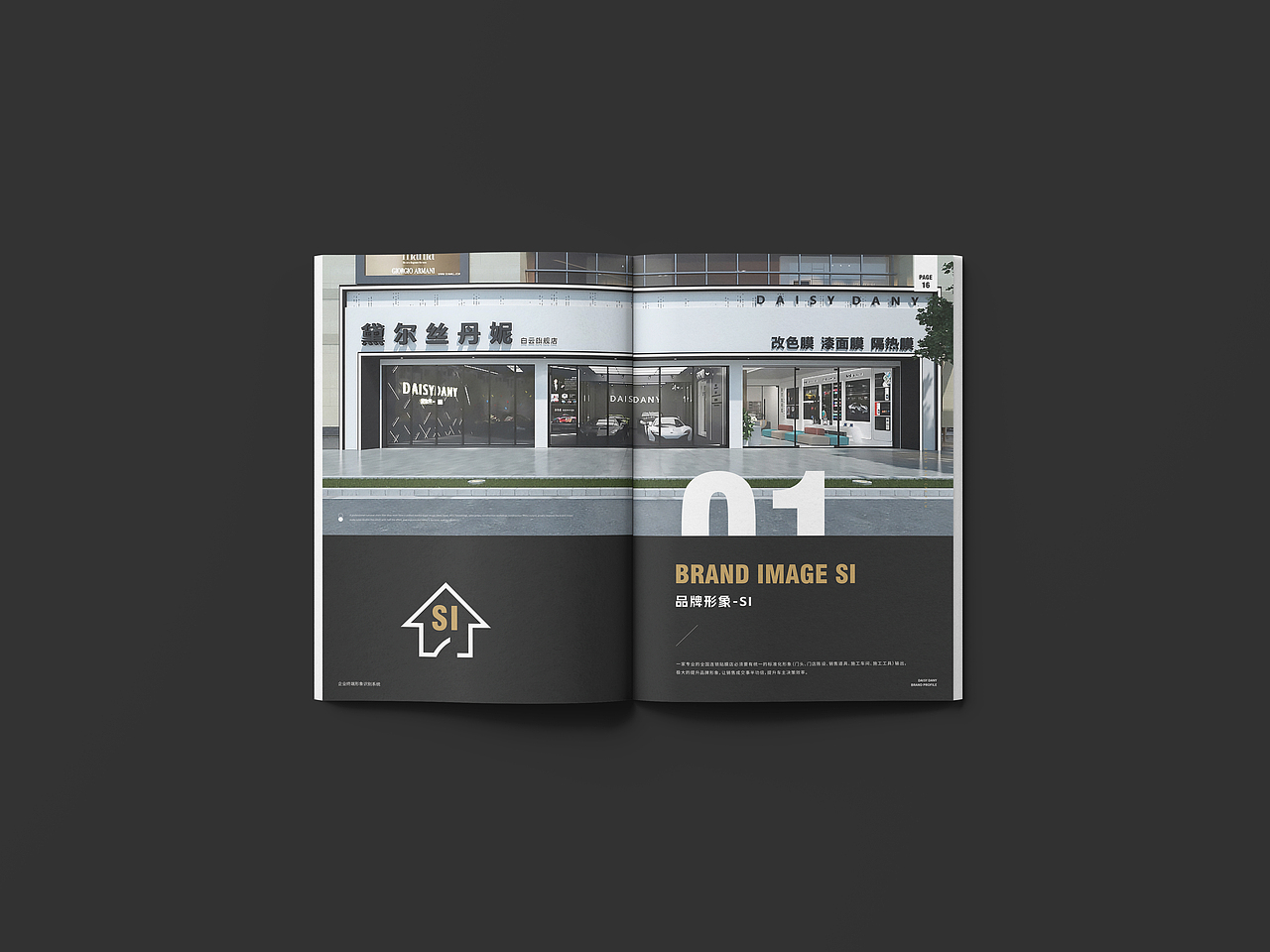 黛尔丝丹妮汽车贴膜画册设计