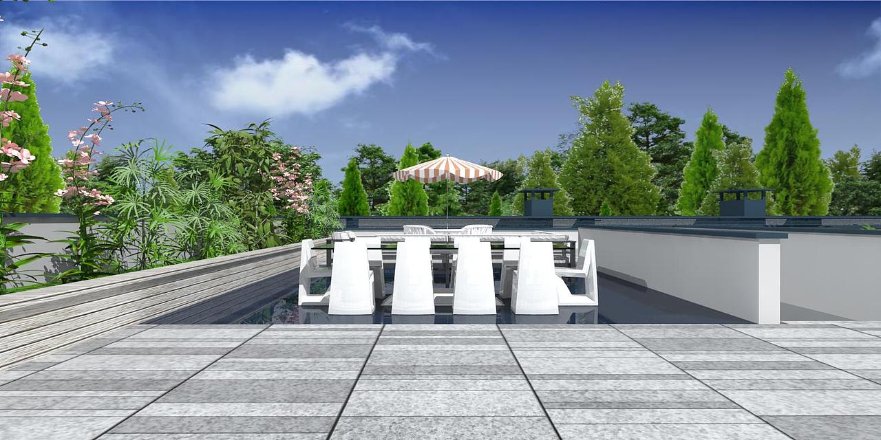 空中四合院儿,农村自建房设计