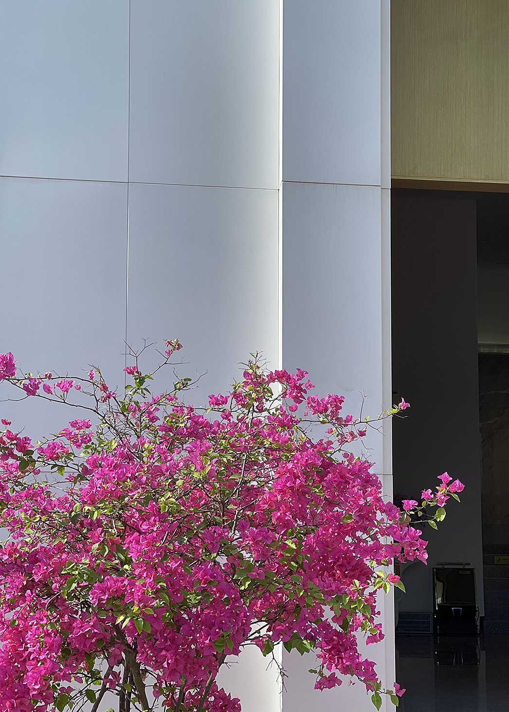 思丽设计作品 | 优雅度假风生活美学馆