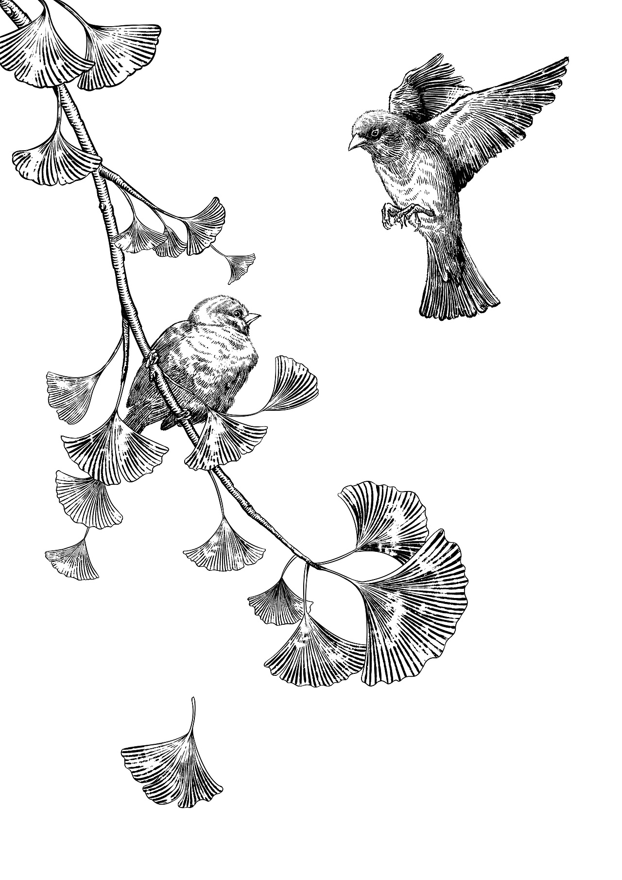 版画风 | 秋思and荷花