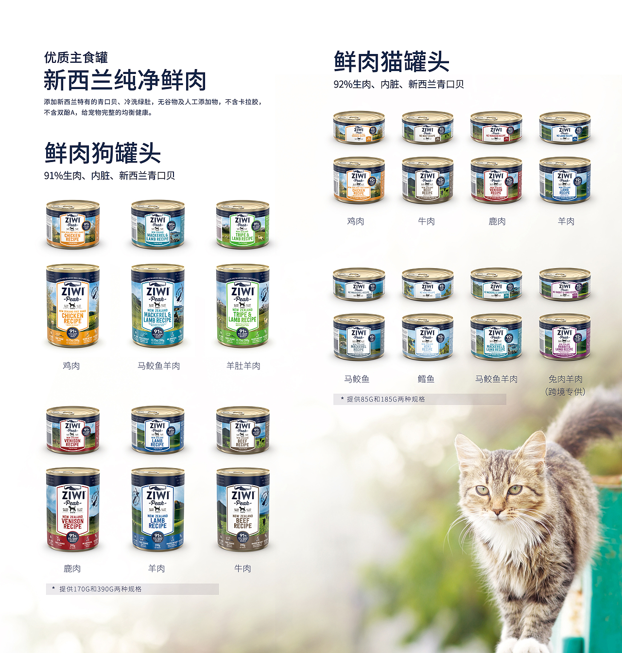 ziwi深宠展DM单设计（图ZMzI0NTI2MjEy） - 宣传物料 - 站酷设计师时如逝水原创素材 - 站酷ZCOOL