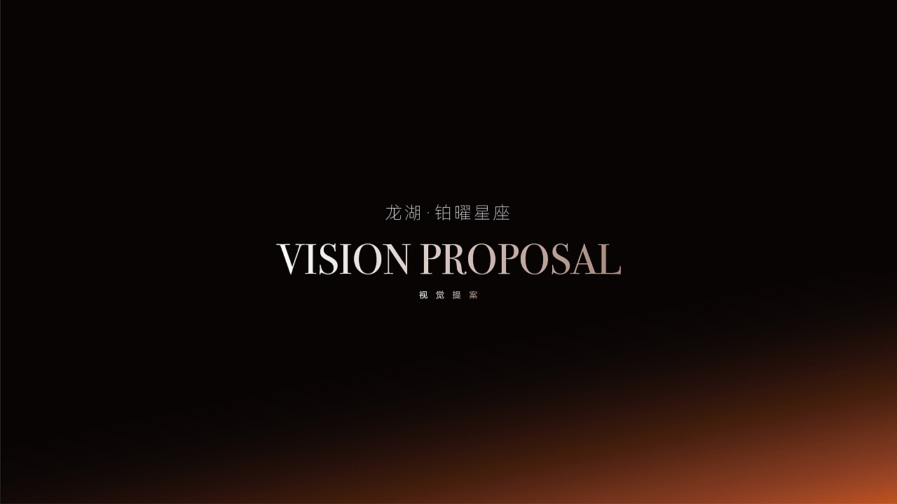 龙湖铂曜星座提报