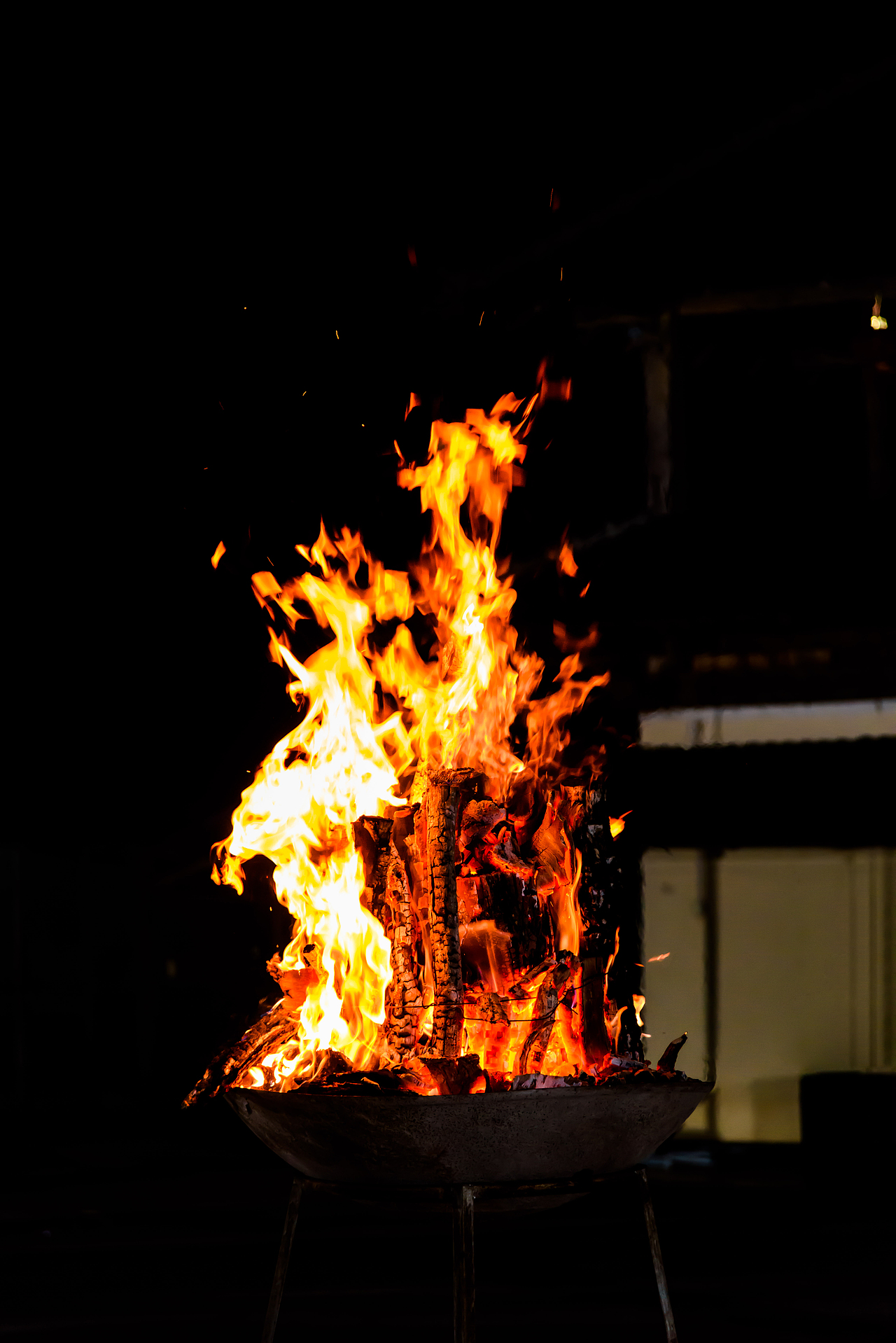 2019云南西双版纳茶之旅