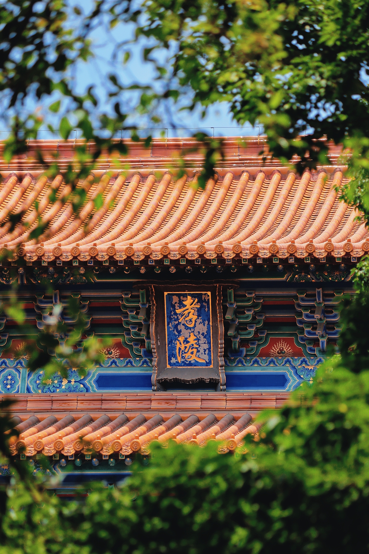 是南京城，亦可是金陵城（图ZMzY5OTQ2MDUy） - 风光摄影 - 站酷设计师JSky_猫原创素材 - 站酷ZCOOL
