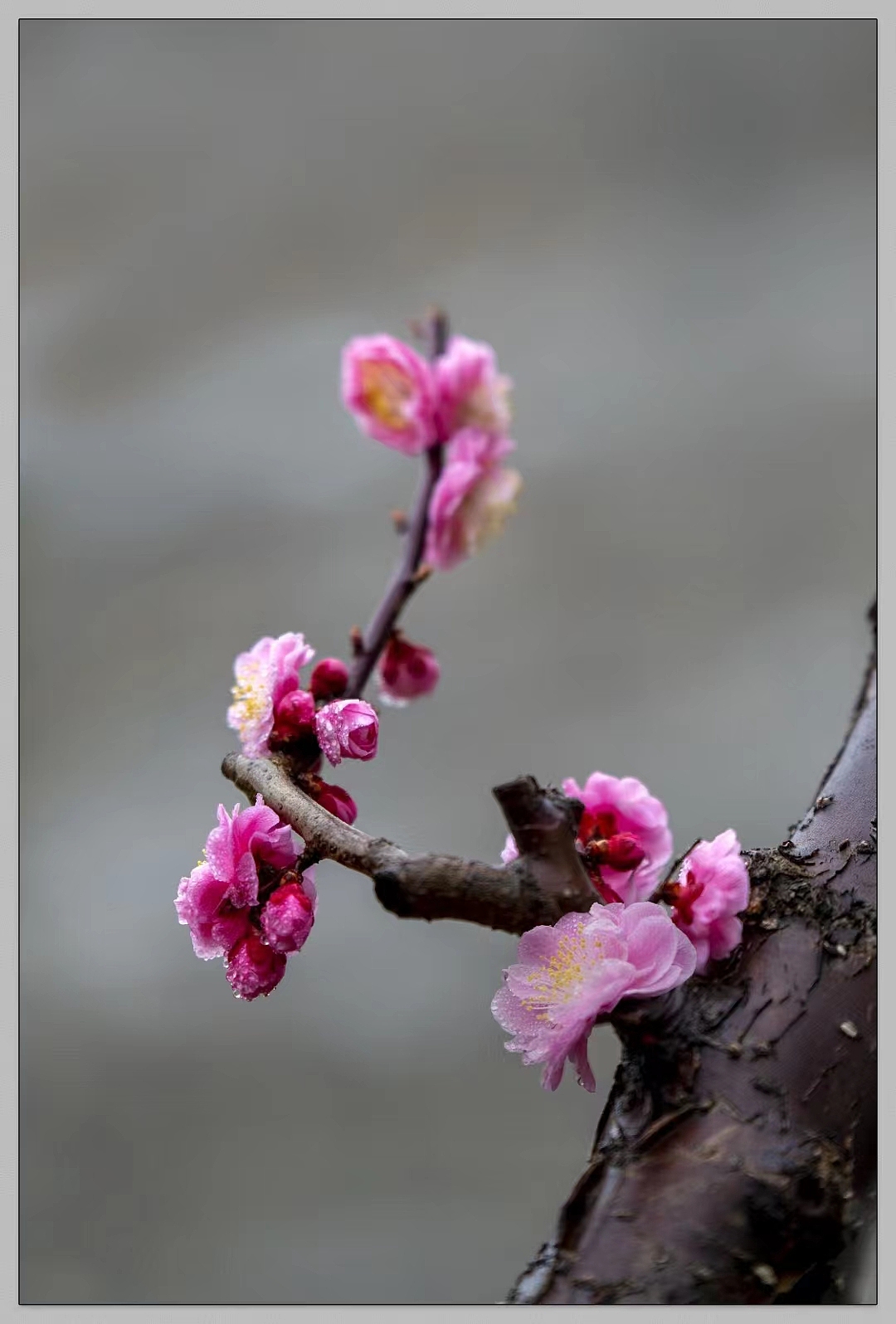 部分风景摄影（图ZMzE5NTczODY4） - 风光摄影 - 站酷设计师Ait_z原创素材 - 站酷ZCOOL