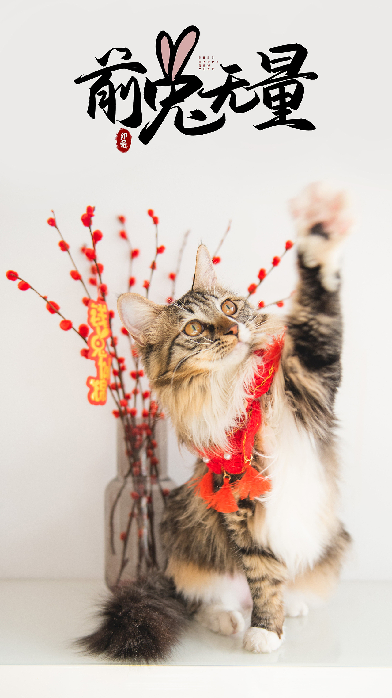 补发一下过年时候的桃桃图图（图ZMzQ1OTQ3MDAw） - 宠物摄影 - 站酷设计师梅柒鹤子原创素材 - 站酷ZCOOL