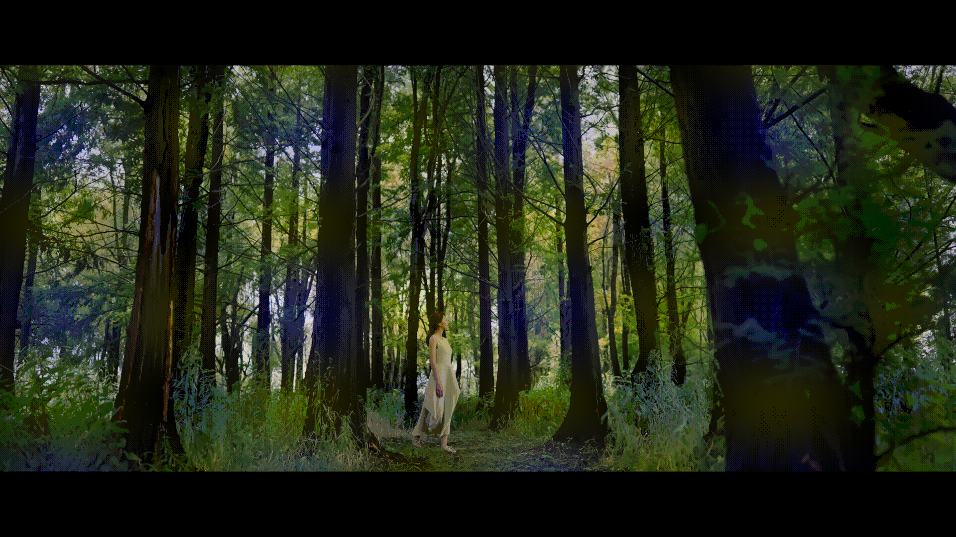 云南旅拍｜慕思创享美学探寻之旅