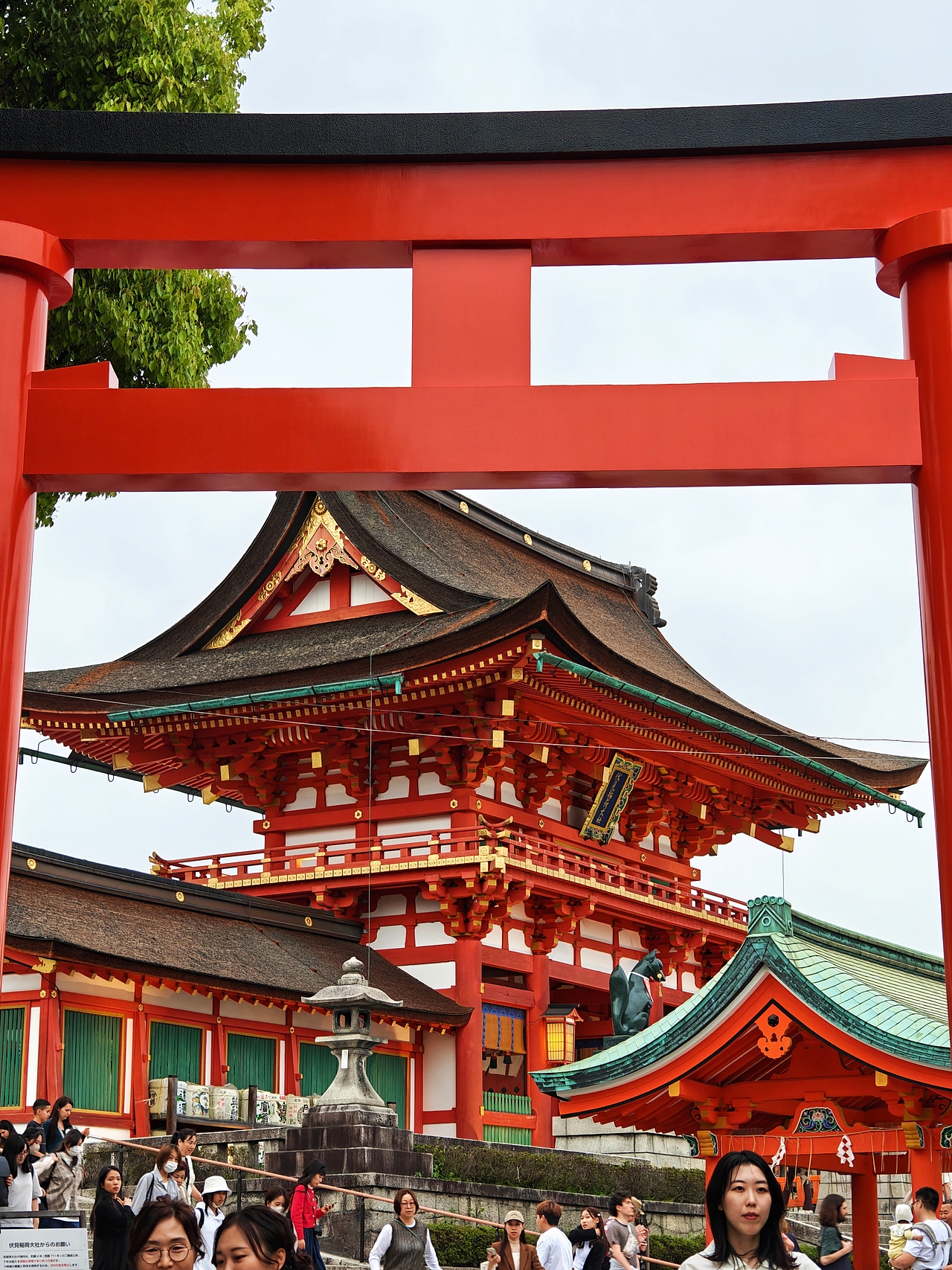 京都大阪之旅