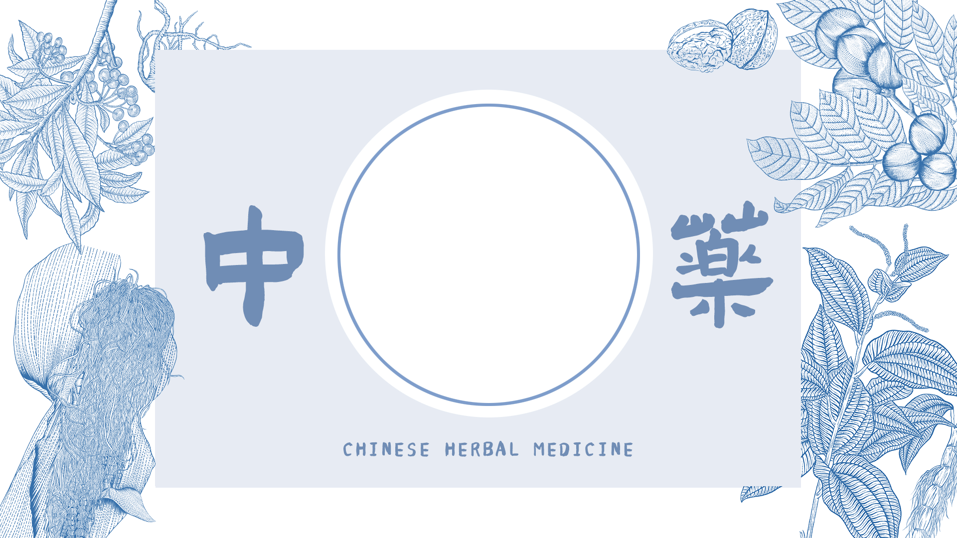 版画风中药材图谱