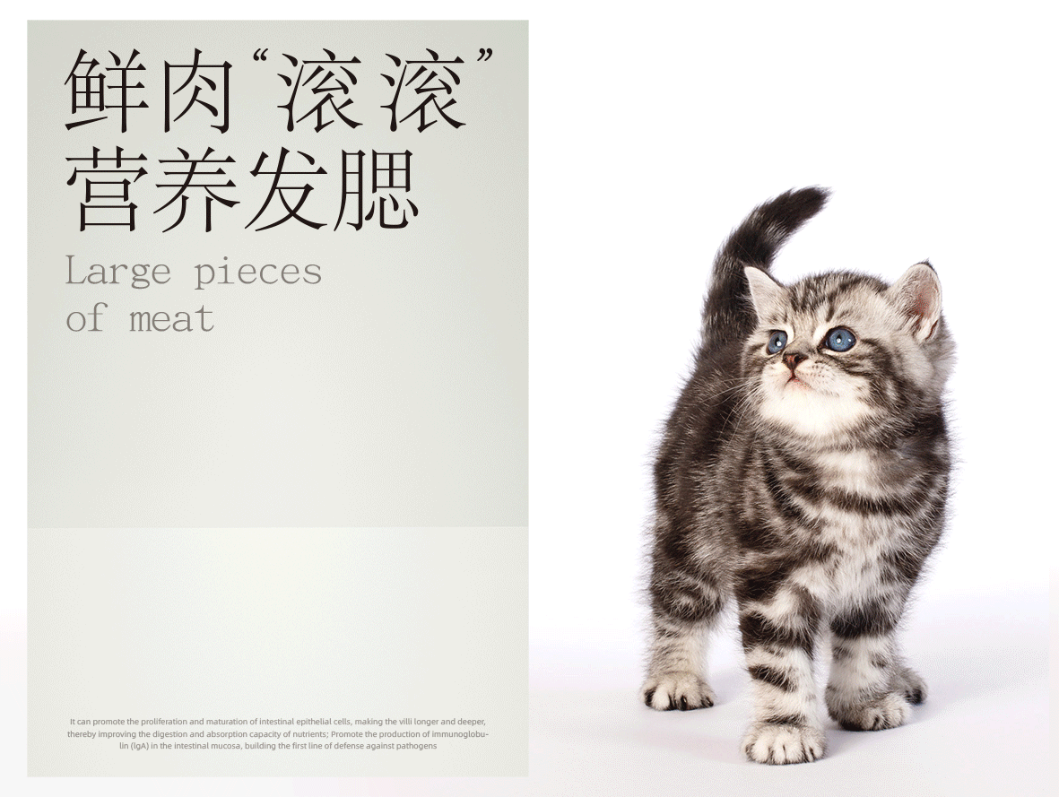 Geetu 宠物品牌包装设计 · 猫粮 品牌(图ZMzUzMTc3MjI4) - 包装 - 站酷设计师滚水BlngPT原创素材 - 站酷ZCOOL