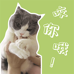 叮当的单身生活