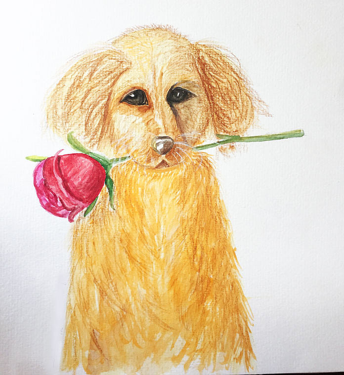 臨摹手繪練習(xí)（圖ZMzMzNTU1MjA0） - 繪畫 - 站酷設(shè)計師ChenSD原創(chuàng)素材 - 站酷ZCOOL