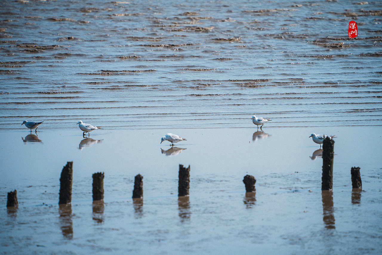 旅行摄影·深圳行(风光篇)