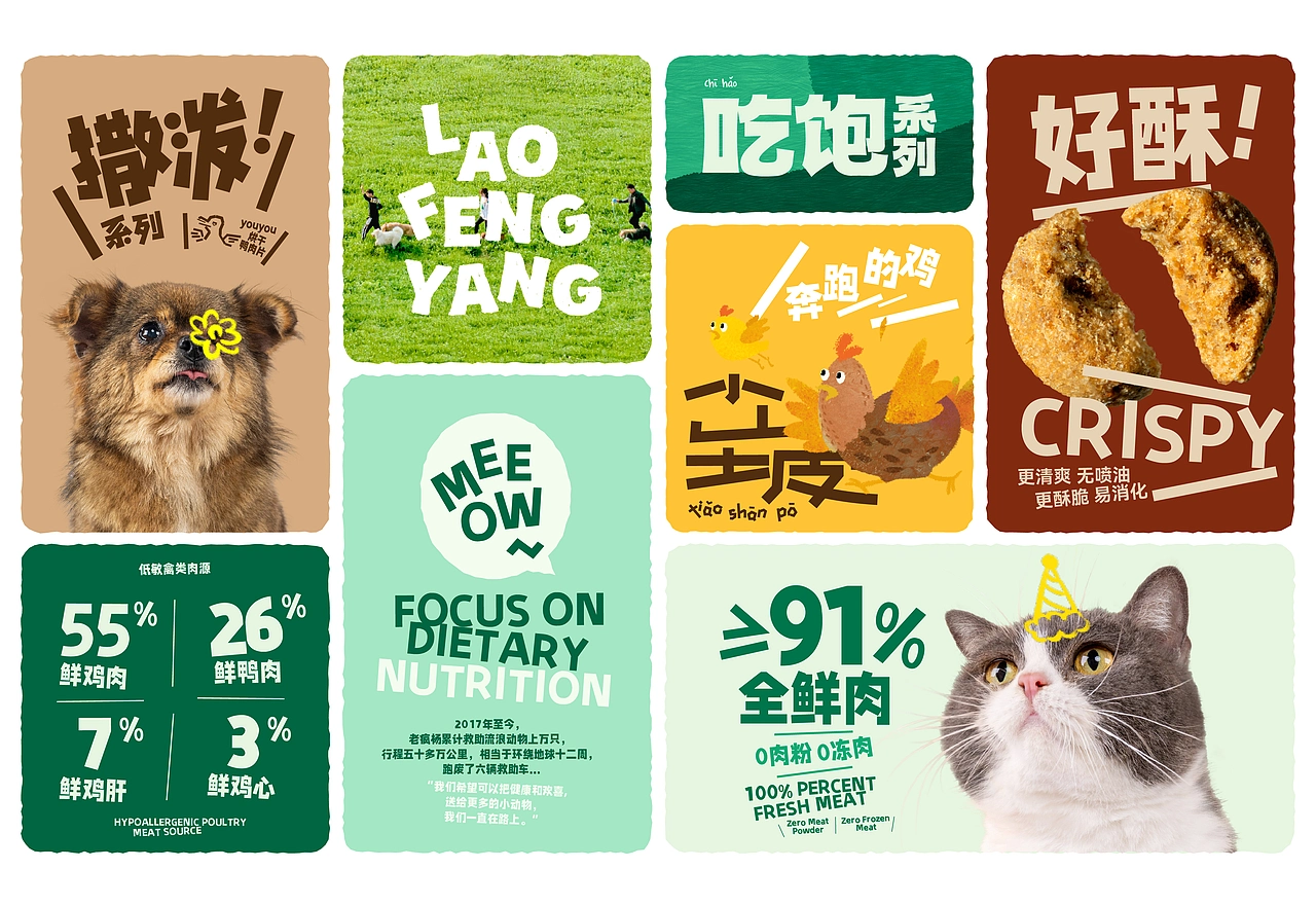 《老疯杨》宠物品牌全案设计——给它一生欢喜