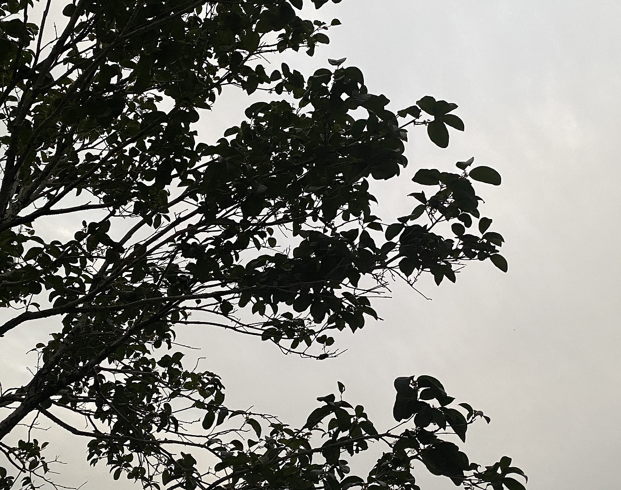 CCD的记忆（图ZMzUxMzY5NDA0） - 风光摄影 - 站酷设计师OP泡泡果奶原创素材 - 站酷ZCOOL