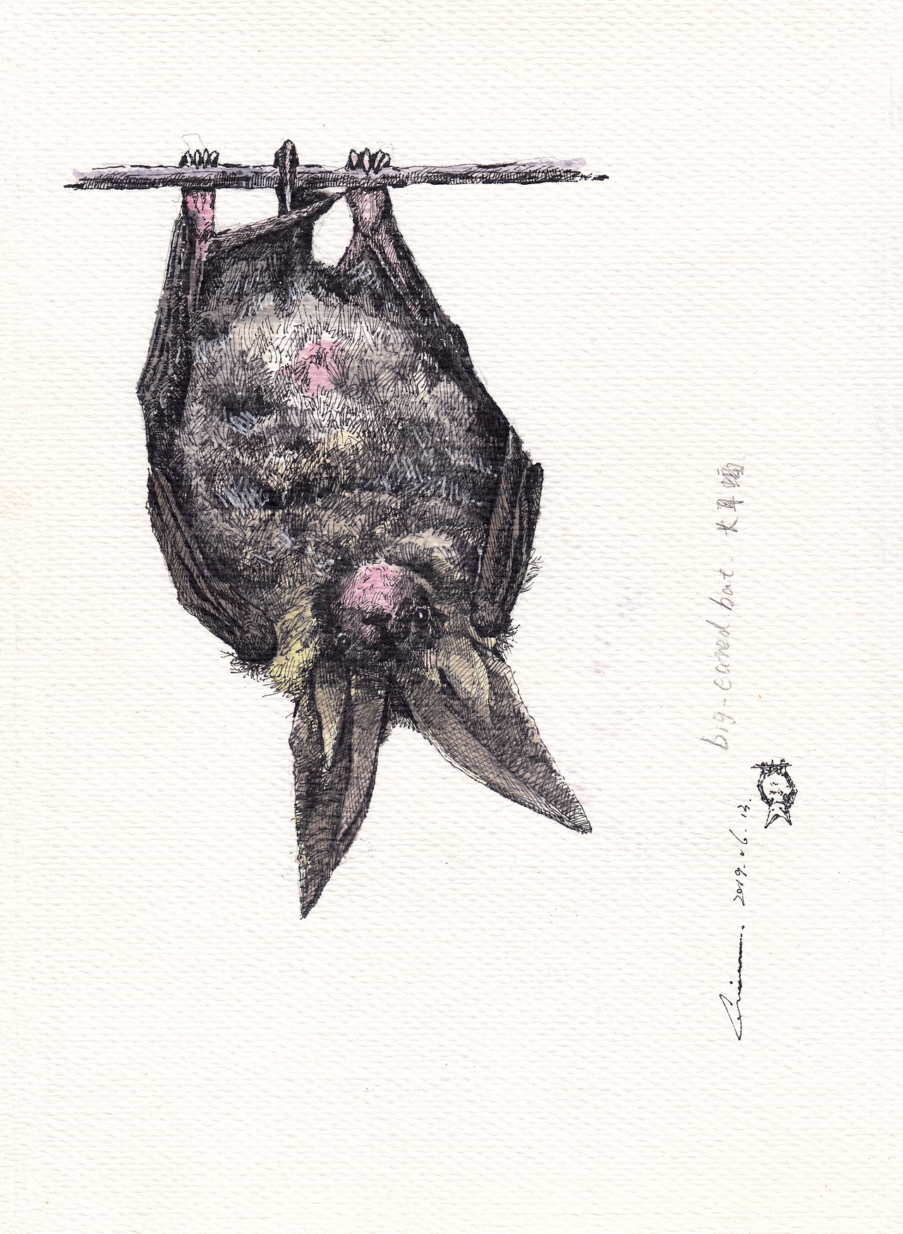 『画本系列』-我的第44本画本-日常习作